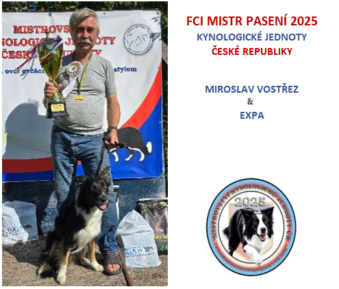 MIREK2.png