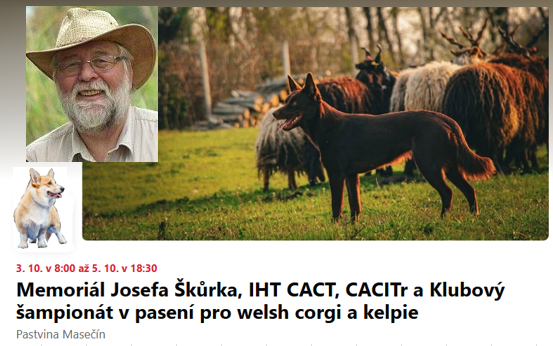 PEPA.png