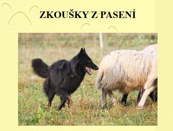POHOŘELICE.png